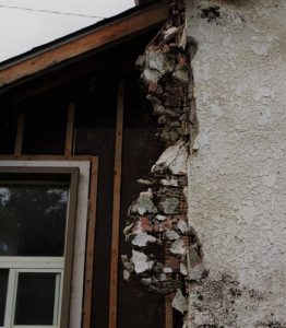 Dry rot damaged property